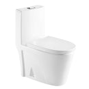 toilet|A3041/3806